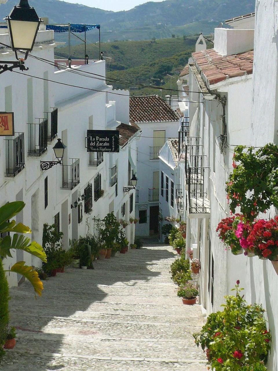 Hotel Rural Almazara Frigiliana Esterno foto